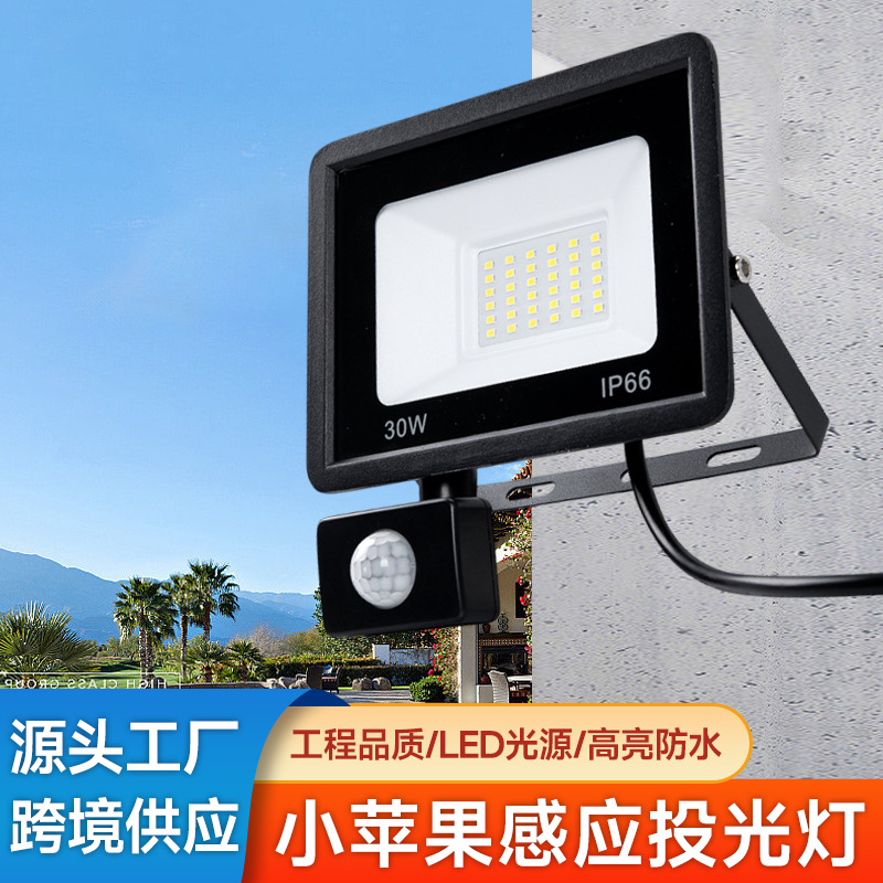 Cross-Border Led Floodlight Outdoor Villa Courtyard Infrared Sensor Floodlight Small Apple Human Body Sensor Floodlight