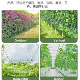 Трансграничное взрывное растение поднимает сеть огурцов