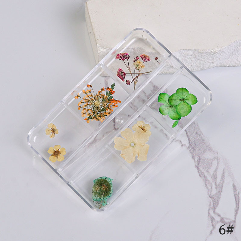 Uña flor seca japonesa pequeña fresca estrella de sol mixta flor real flor pequeña flor de manicura caja de flores secas manicura