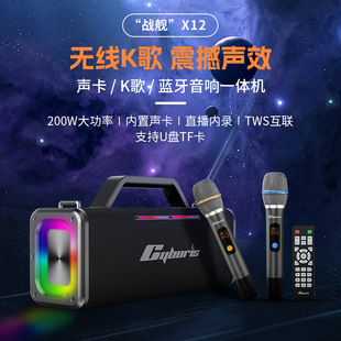 Cyboris200W�o��K���{��5.3����RGB�Շ���6.5mm�ӿ�