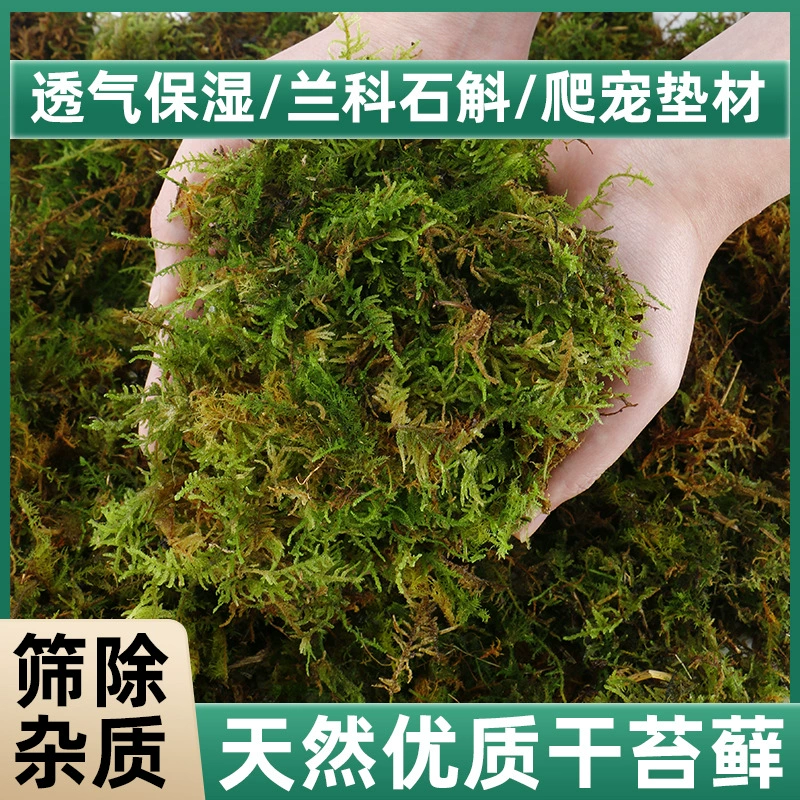 Водяной мох фаленопсис специальная питательная почва Сухий мох и зеленый мох