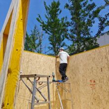 ���������m�Y�����Ćΰ�ӷe��LVLe14f17�ȼ�����ρanti-termite