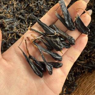 10���b�I����đ ����ɽ���R��đ�� ��đ ���R����đ