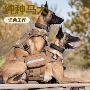 ���l�����r�RȮ��Ȯ���w����С�����N����Ȯ����Ȯ����Ȯ���t�RȮ