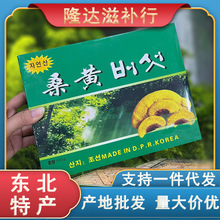 东北桑黄长白山桑黄正品特级桑树桑黄土特产品桦褐孔菌桦树茸批发