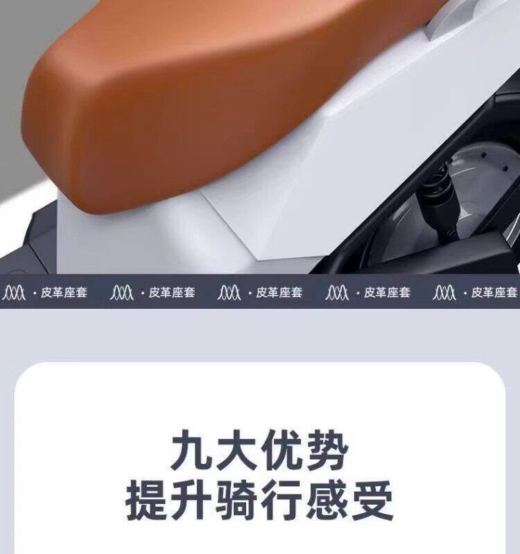 Waterproof and Sun-Resistant Electric Motorcycle Seat Cover Suitable for Aima, Yadea, Tailg, Luyuan, Niu, and Xiaodao Electric Bikes
