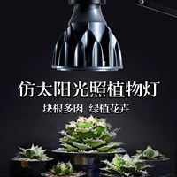 Светильник для растений, полный спектр имитации солнечного света для суккулентных корней, светодиодный прожектор, внутренний зеленый тепловой светильник для роста растений