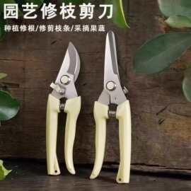 树枝剪刀专用花剪园艺园林修枝剪刀嫁接强力采摘省力修果树粗枝剪