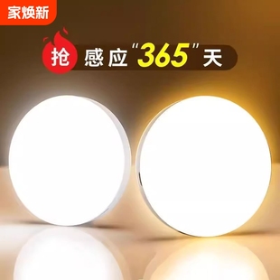 Human Body Sensor Lamp Aisle Home Night Light Wireless Charging Cabinet Bedroom Wardrobe Smart Corridor Voice Control Lamp g