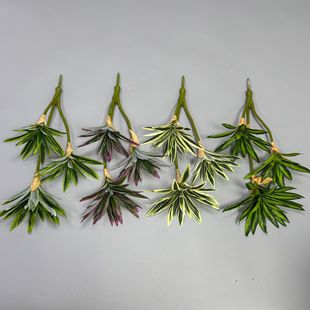 ����3�^�ٺ��������m���辰�����쾰�Gֲ���Ԕ[����Y����b�