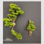 客厅植物组合仿真壁挂