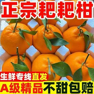 �����Ĵ���Ҋ�ҰҸ����θ�10���b�������rˮ�����ӬF��ժ�l؛����