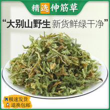 Ʒș_RβݽǲݷҰʯɪ{ӲС