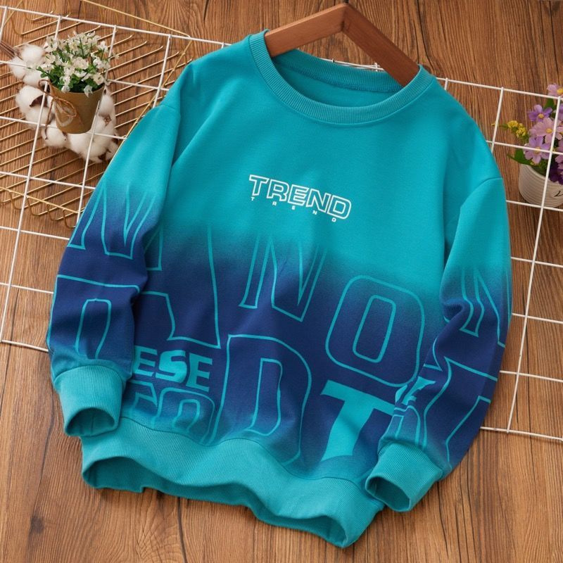 Men's Autumn/Winter New Color Block Hoodie 2023 New Medium/Large Children's Gradation Letter Print Top Base Shirt