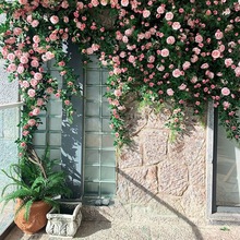 仿真玫瑰花藤仿真花婚庆拱门商场假花墙上挂墙花墙花藤室内墙面