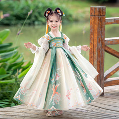 Xuan Wei Ni 2024 New Chinese Style Girls Tangzhuang Princess Dress Girls Spring and Summer Modified Hanfu Children's Dress