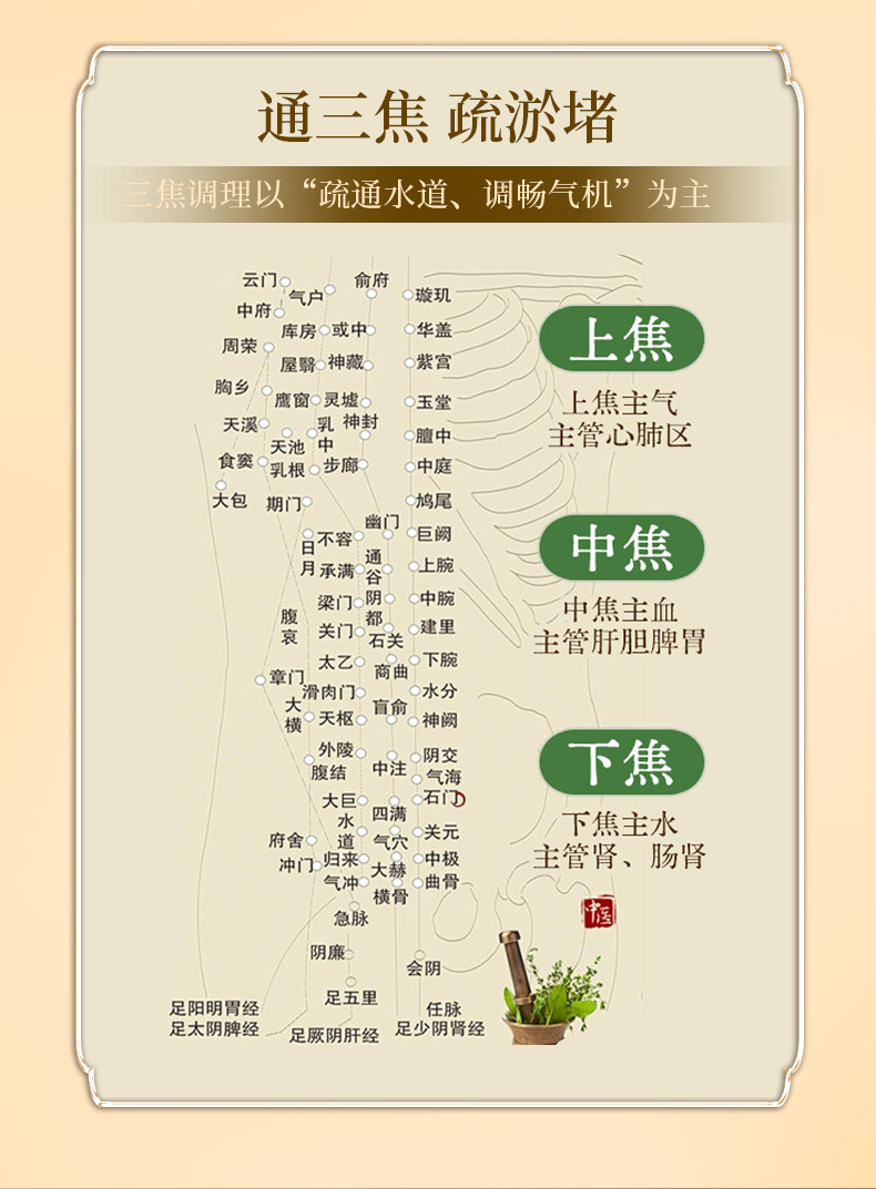 Ancient Formula San Jiao Herbal Navel Patch with Honey for TCM Wellness Support 6 Patches per Box specifications