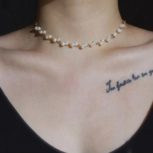2025 New French Style Freshwater Pearl Necklace Women's Summer Gommel Star Clavicle Chain Light Luxury Niche High-end Necklace Chain