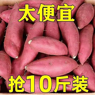 �����t�������r�F��10�ﮔ��ɽ������ɳ�����ϼt���عϷ���5����