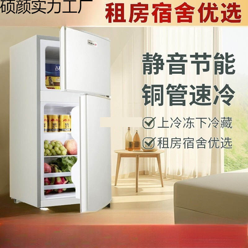First-Class Energy-Efficiency Small Refrigerator for Two People, Household Small Rental House Dormitory Mini Double-Door Refrigerator