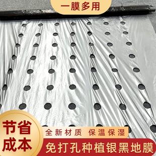J8 Vegetable Perforated Weeding Moisturizing Reflective Plastic Film Perforated Agricultural Insulation Mulch Silver Black Planting G3