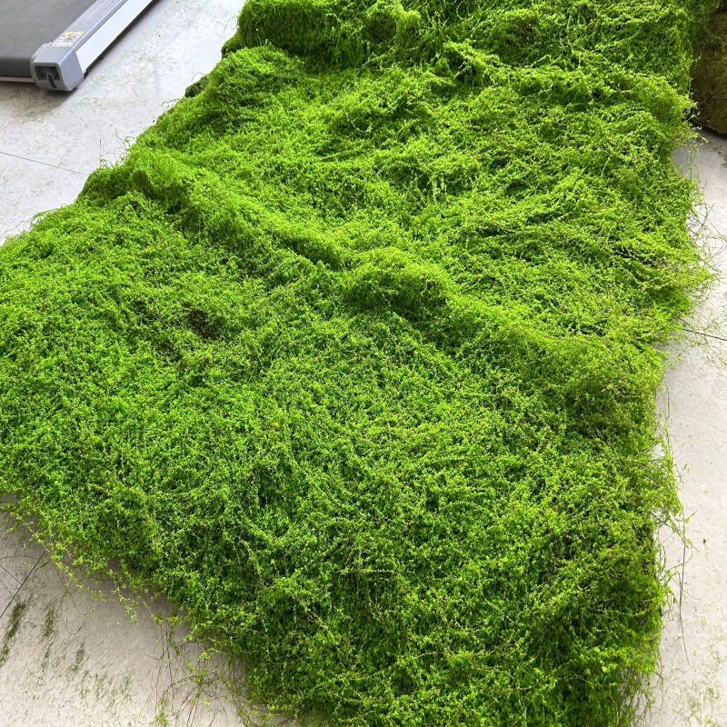 Fluffy light green one square price