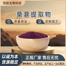 桑葚提取物30:1 水溶桑椹花青素 紫桑葚提取物 和肽生物