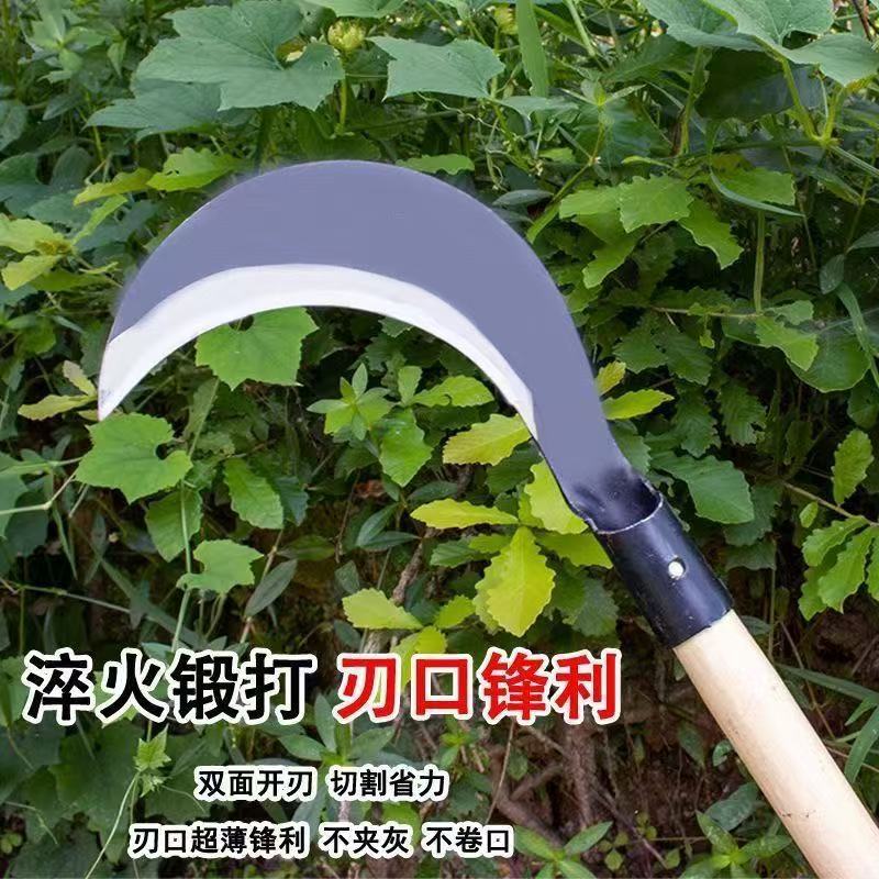 微信图片_20260624174116_97_4.jpg
