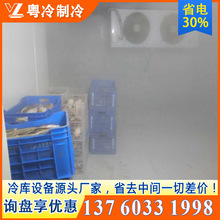 广东食品肉类冻库冷冻库安装 承接各类型冷库工程项目设计安装