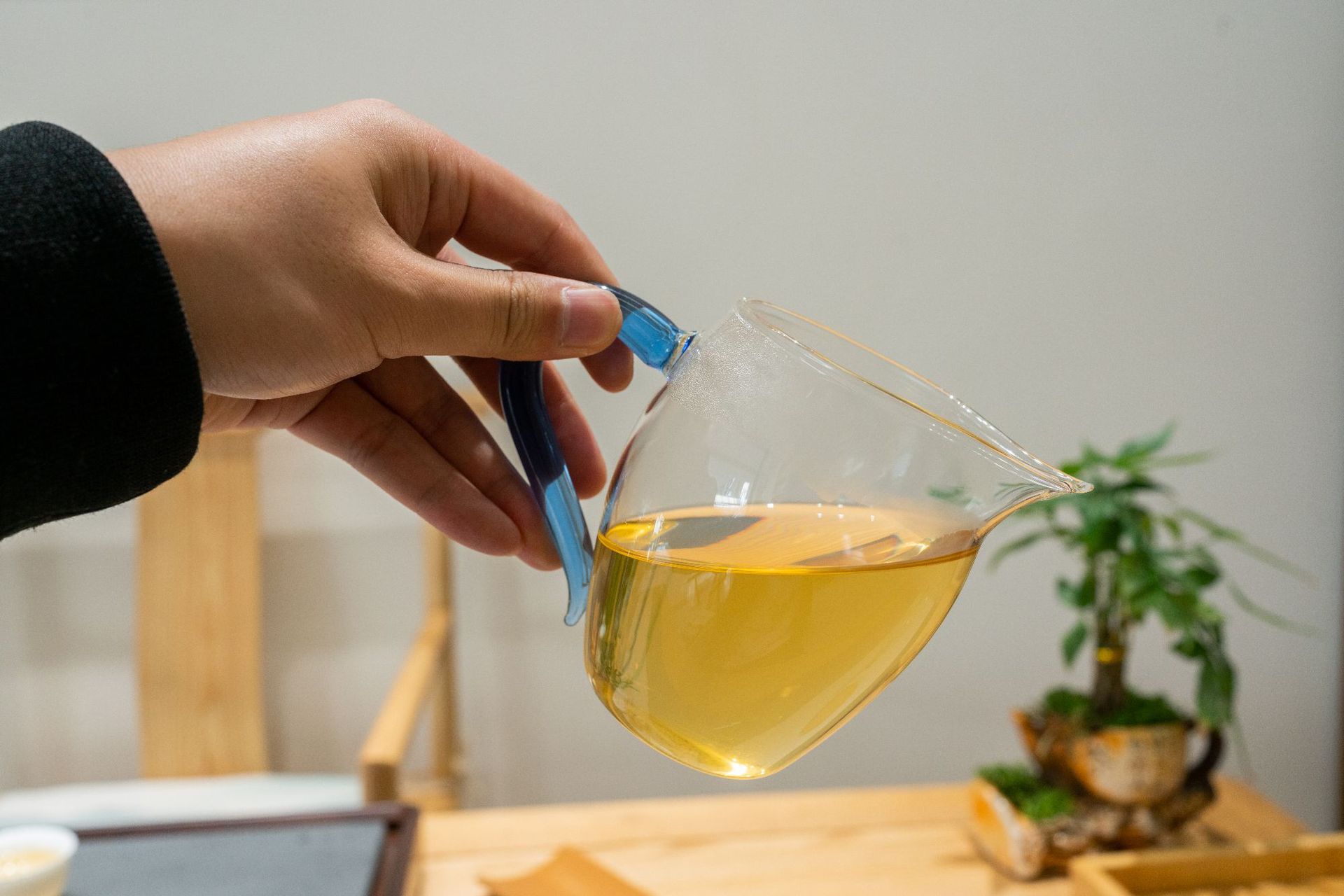 生茶茶汤 (4).JPG