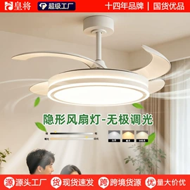 风扇灯;电风扇;吊扇