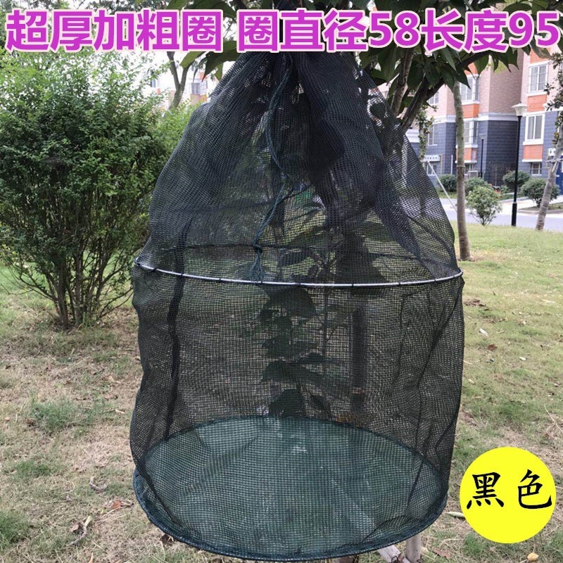 折叠鱼护养鱼笼养虾笼泥鳅黄鳝笼暂养网箱螃蟹护吊笼渔网鱼笼防逃