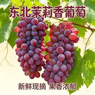 ���ڮ������������ѬFժ���r�o�ѿ˂����t�ᮔ��ˮ���ЋD���|