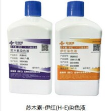 金瑞博生物苏木素-伊红(H-E)染色液微生物染色液使用便捷染色高效