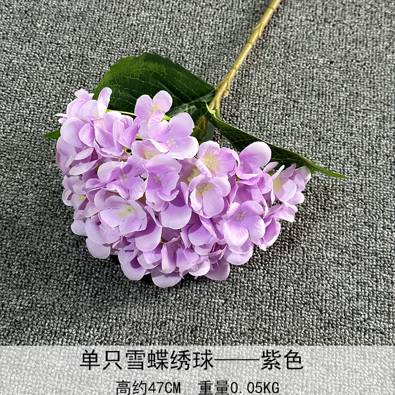 Solo nieve mariposa Hortensia púrpura