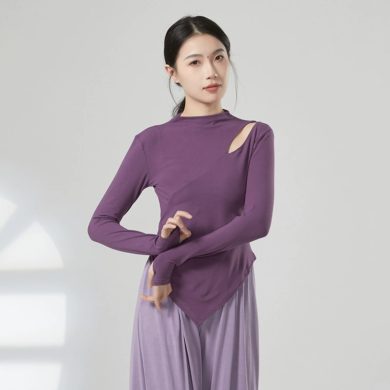 Танцевальная одежда осень и зима 2024 весна новый топ для современных танцев Женский взрослый Классический танец Практика одежда для тела