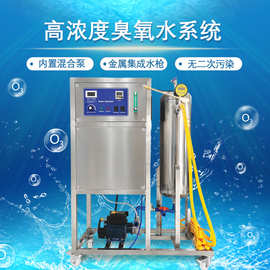高浓度臭氧水机水处理臭氧发生器消毒机种植业养殖一体机蔬菜清洗