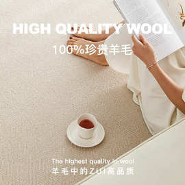 新西兰羊毛肌理感地毯客厅高级奶油纯色极简轻奢易打理耐脏地垫子