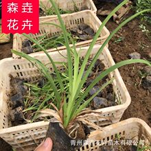 �����޸����ݽ�������� ����ݴ��������G����ľ �����