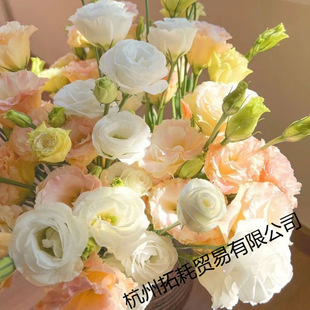 ��ϻ���ֱ�l���r��۹���đ���滨��������l�҃�ˮ�B�r��