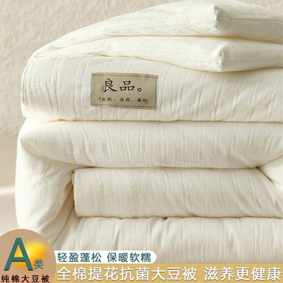 A类全棉大豆被纯棉加厚保暖水洗棉抗菌大豆纤维秋冬被芯被褥垫子
