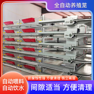 �ӯBʽ���uA�ͻ\�Bֳ���B�u�O�䵰�u�\���ӻ\���uH�ͻ\�Bֳ�g���\