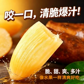 其他干货;其他方便食品;蘑菇