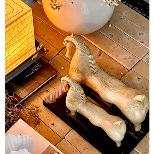 �й��L�������ŏ͹��L�R�[���Ӱ��g�͏d���P�����Ʒ�p�E����ˇ�g