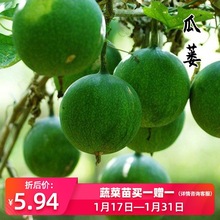 VNӹVӷNѲķN컨ǵǹѴ