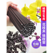 �����m֧�܊A�ӌ��ù̶�����������F�z�������@ˇ����ֲ��֧�ΗU