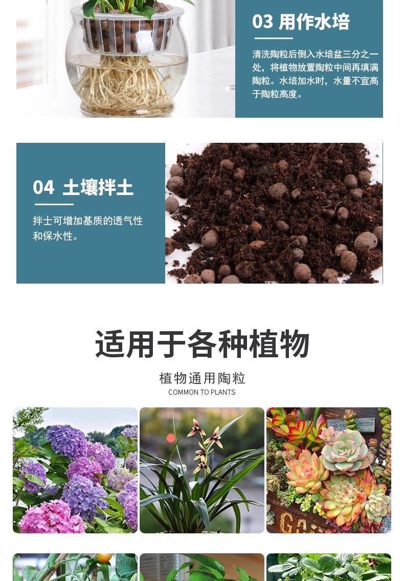 cfd50323-bc06-4786-914b-e33a98f1a9f6.jpe