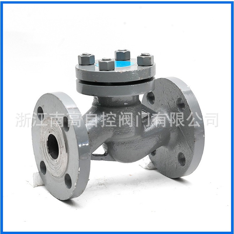 H41H-16C DN600 大口径止回阀 单向止回阀铸钢逆止阀法兰止回