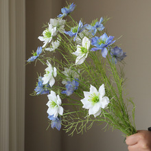 ��Ȼ����ins�L���滨�ڷN�ݻ�c�廨�Ҿӿ͏d�bٻ���@��˹��