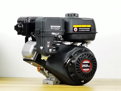 Chongqing Longxin 252cc gasoline-powered engine 175f-2 nose marine hanging spray paint 4.8kw